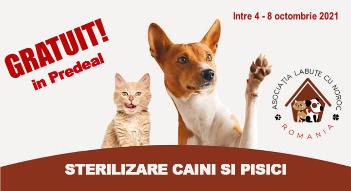 Campanie de sterilizare gratuită pentru caini si pisici